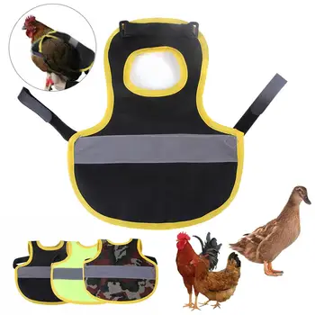Трайно Пиле на Седлото Пилешка Престилка За защита на гърба на Якето, за Костюм, за да проверите за грижа за птици са Подходящи За Малки, Средни и Големи пилета