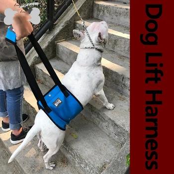 Помощен колан за разходки на Кучета в Напреднала възраст, зона за защита на ставите на задните крайници Кучета, с Каишка за помощ травмированной Куче-инвалиду