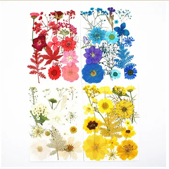 10 Опаковки Сгъстен цветето Сухо цвете материал за Опаковане калъф за телефон Снимка стикер грим за лице DIY материал
