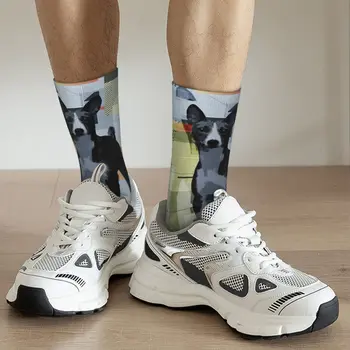 Чорапи за възрастни Basenji Чорапи Унисекс, мъжки Чорапи, дамски Чорапи